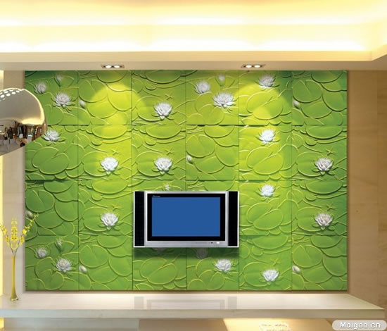 ������Ʋ���֪ʶ ���ӱ���ǽ��ʲô��Ʋ��Ϻ�