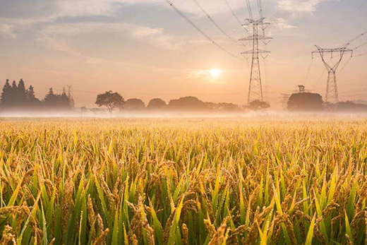 ˷����ҵ| ����������˶�ֹ��