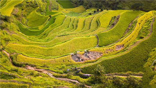 ˷����ҵ| ����������˶�ֹ��