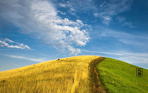 ˷����ҵ| ����������˶�ֹ��