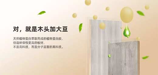 ������ȩ������̬�壬������һ������ȩ���ļ�