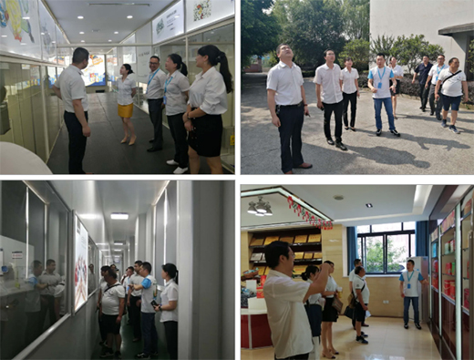 ������ȫ���Ҿӣ�Ʒ�Ƽ޽��ںϣ���������Ӯ