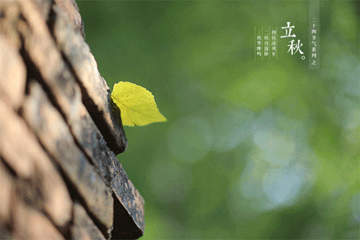 ���죬�� ������ ��һ�����ȷ���䷽ʽ